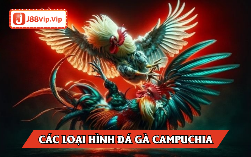 5 loại hình đá gà rất hay diễn ra tại Campuchia