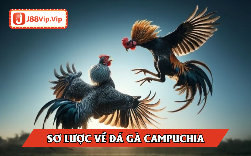 Sơ lược về đá gà Campuchia